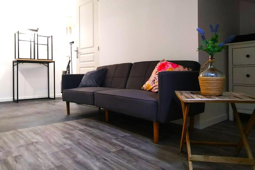 Le Cours Foucault - 3 Appartements - 8 Couchages Монтобан Екстер'єр фото