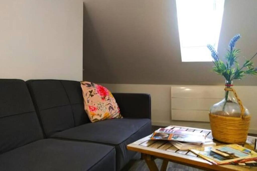 Le Cours Foucault - 3 Appartements - 8 Couchages Монтобан Екстер'єр фото