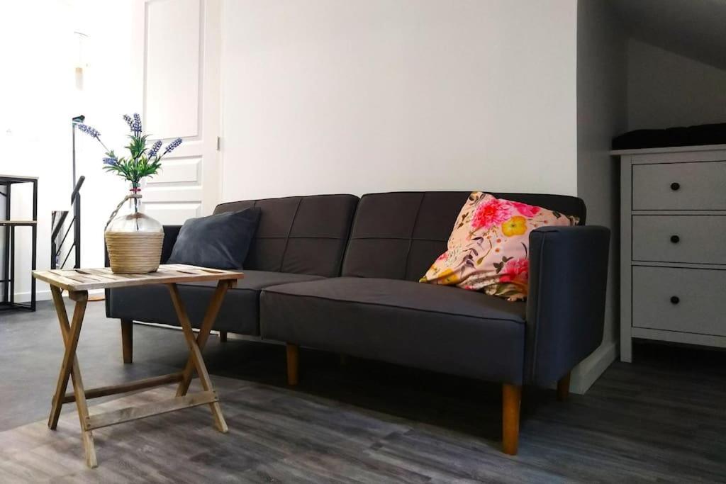 Le Cours Foucault - 3 Appartements - 8 Couchages Монтобан Екстер'єр фото