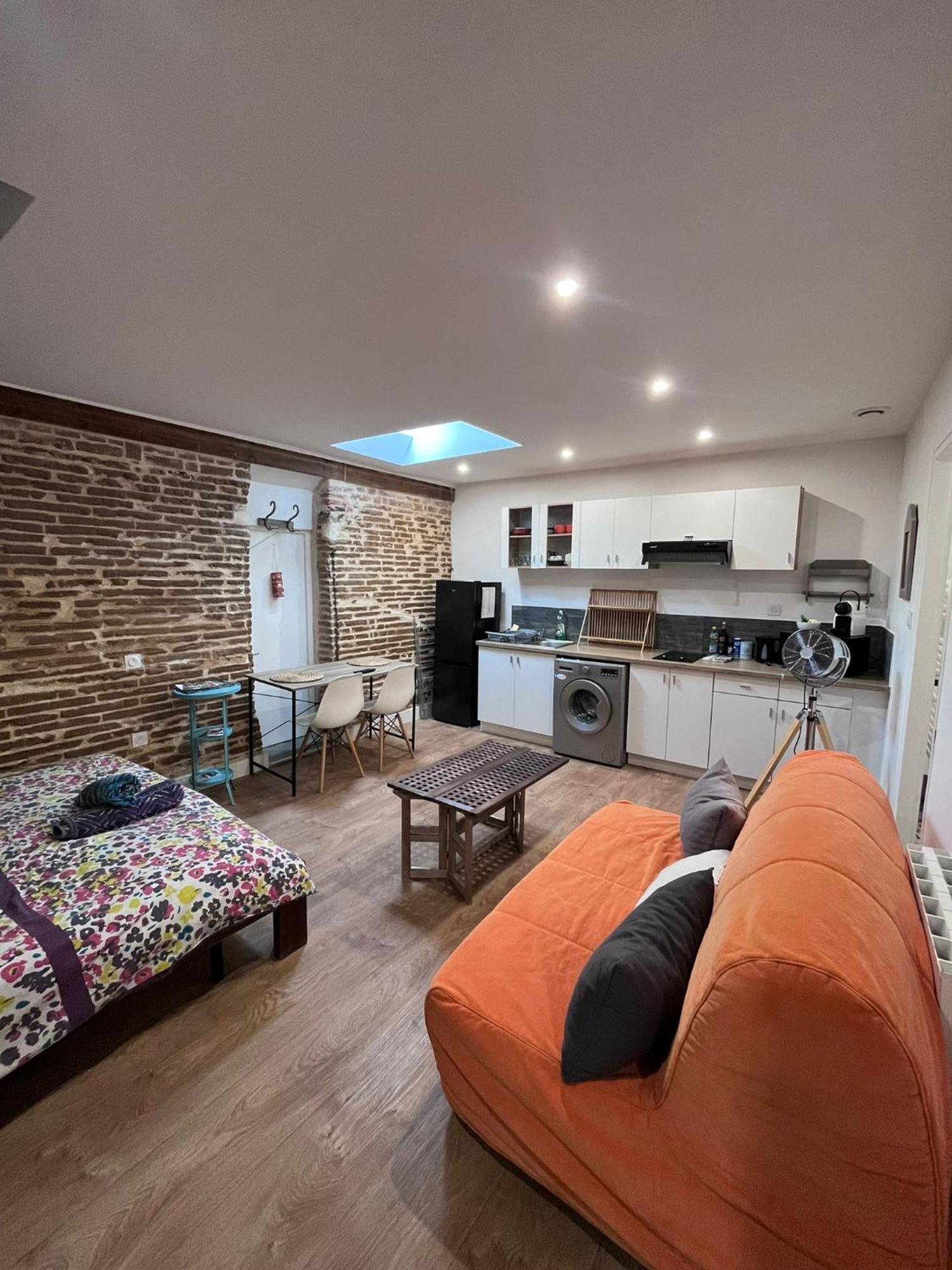 Le Cours Foucault - 3 Appartements - 8 Couchages Монтобан Екстер'єр фото